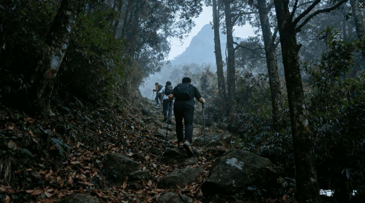 如何使用暴喵加速器卸载游戏步骤